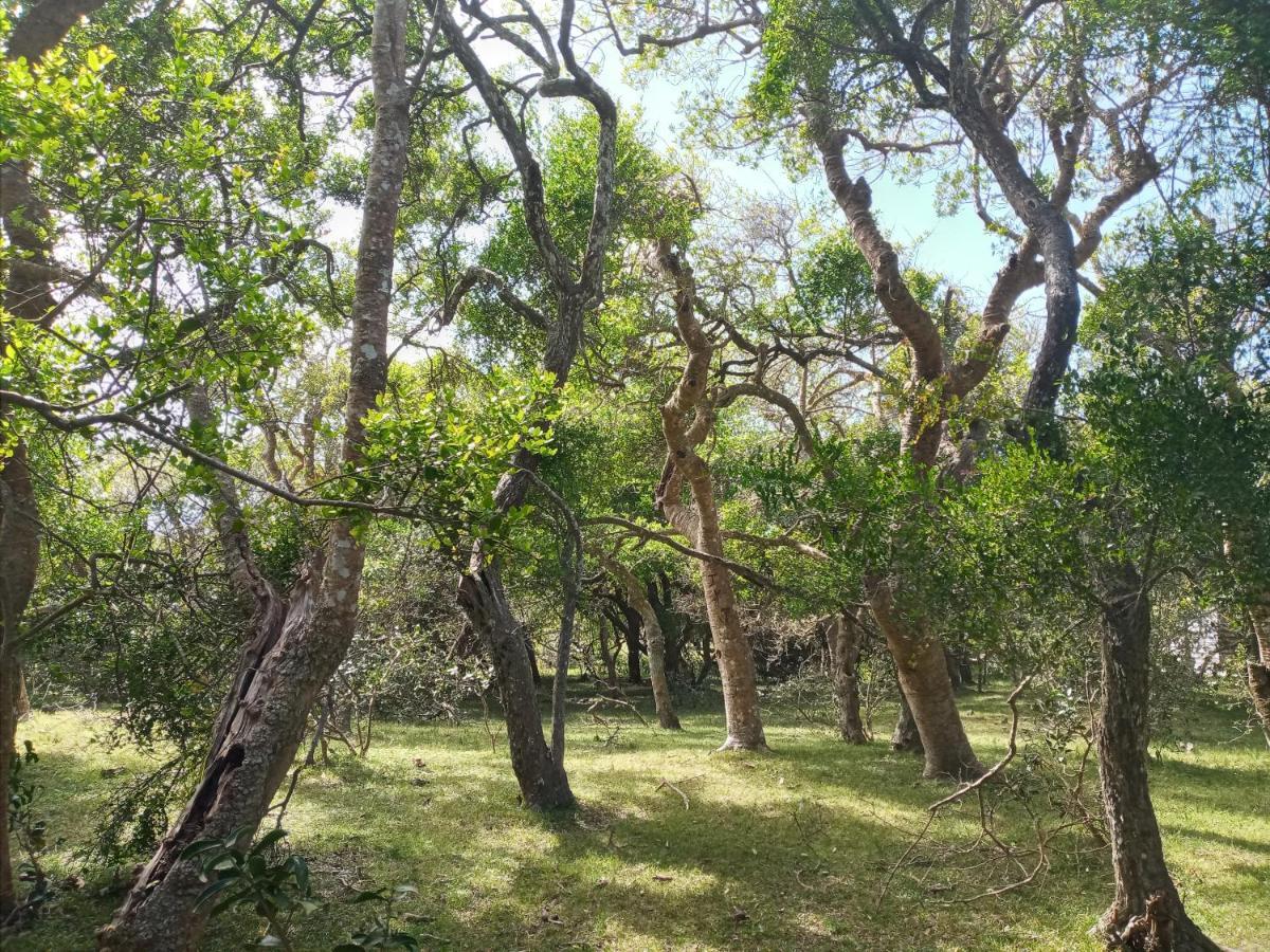 Вілла Casa De Campo Cerca Del Cabo Rincon de los Oliveras Екстер'єр фото